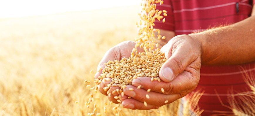 अब सिर्फ इनको मिलेगा फ्री राशन, Ration Card New Rule